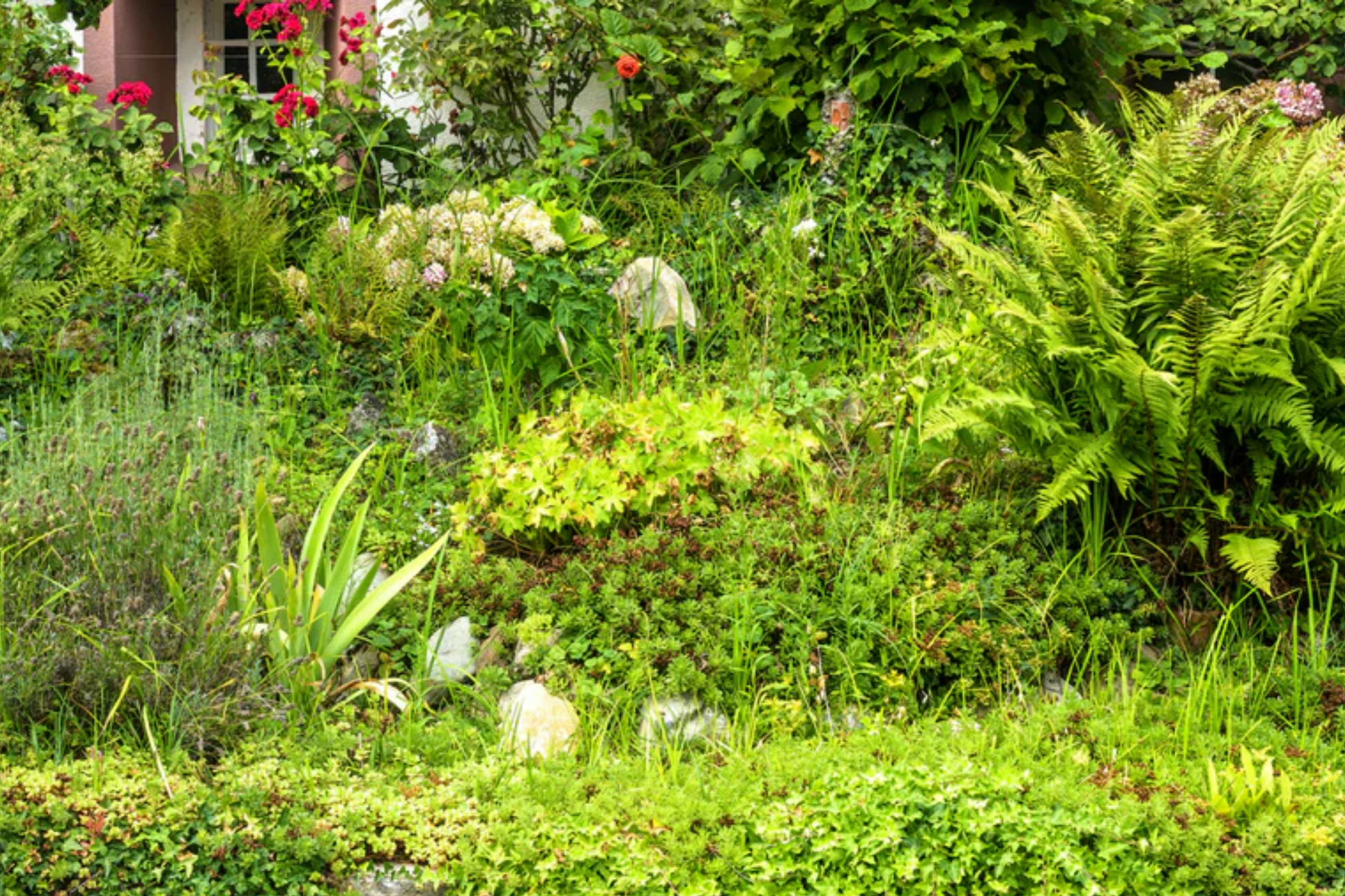 Charles & Ivy Show at Tatton Park!