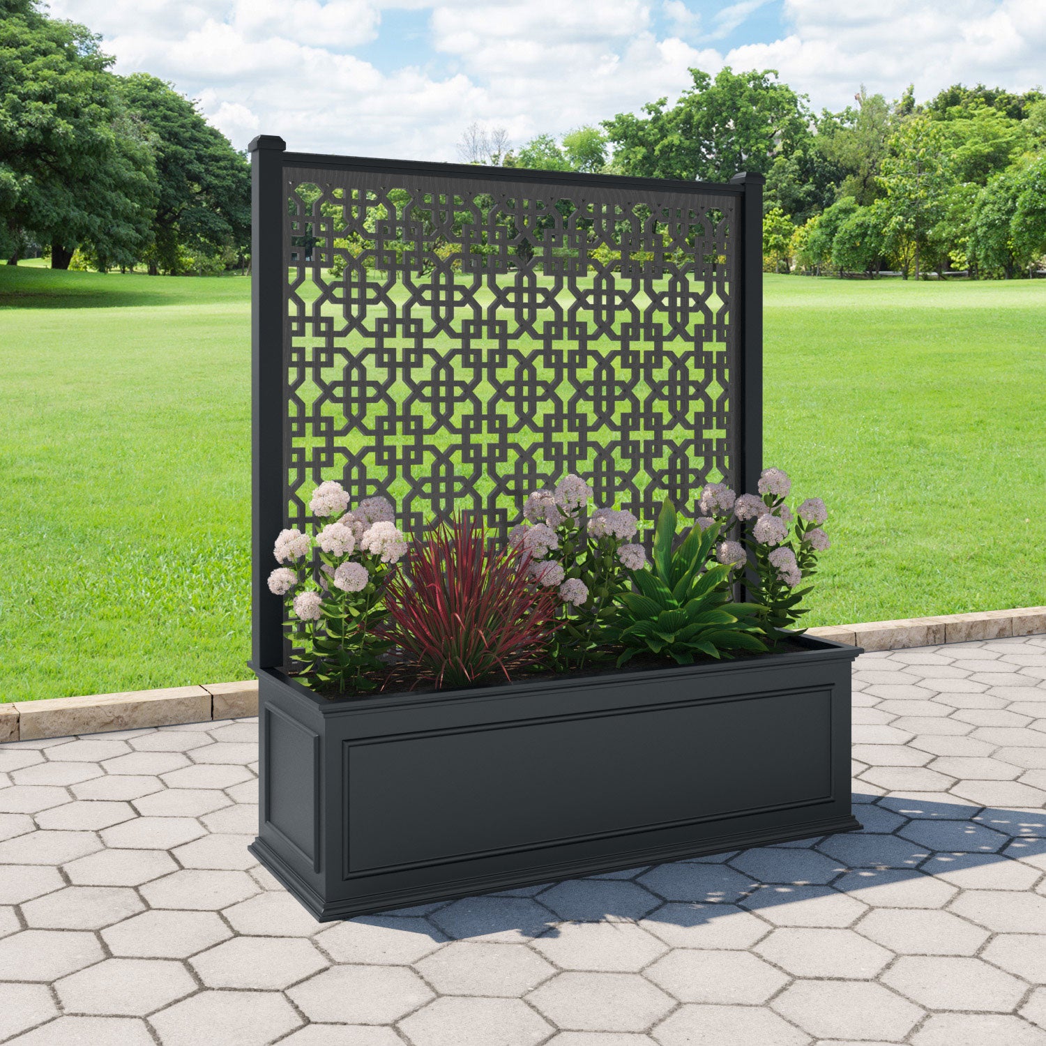 Windsor - Extra Large Low Planter - Zaria Screen
