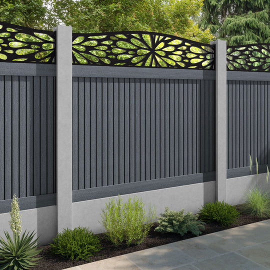 Virtis Blossom Curved Top Fence Panel - Anthracite - for existing concrete posts
