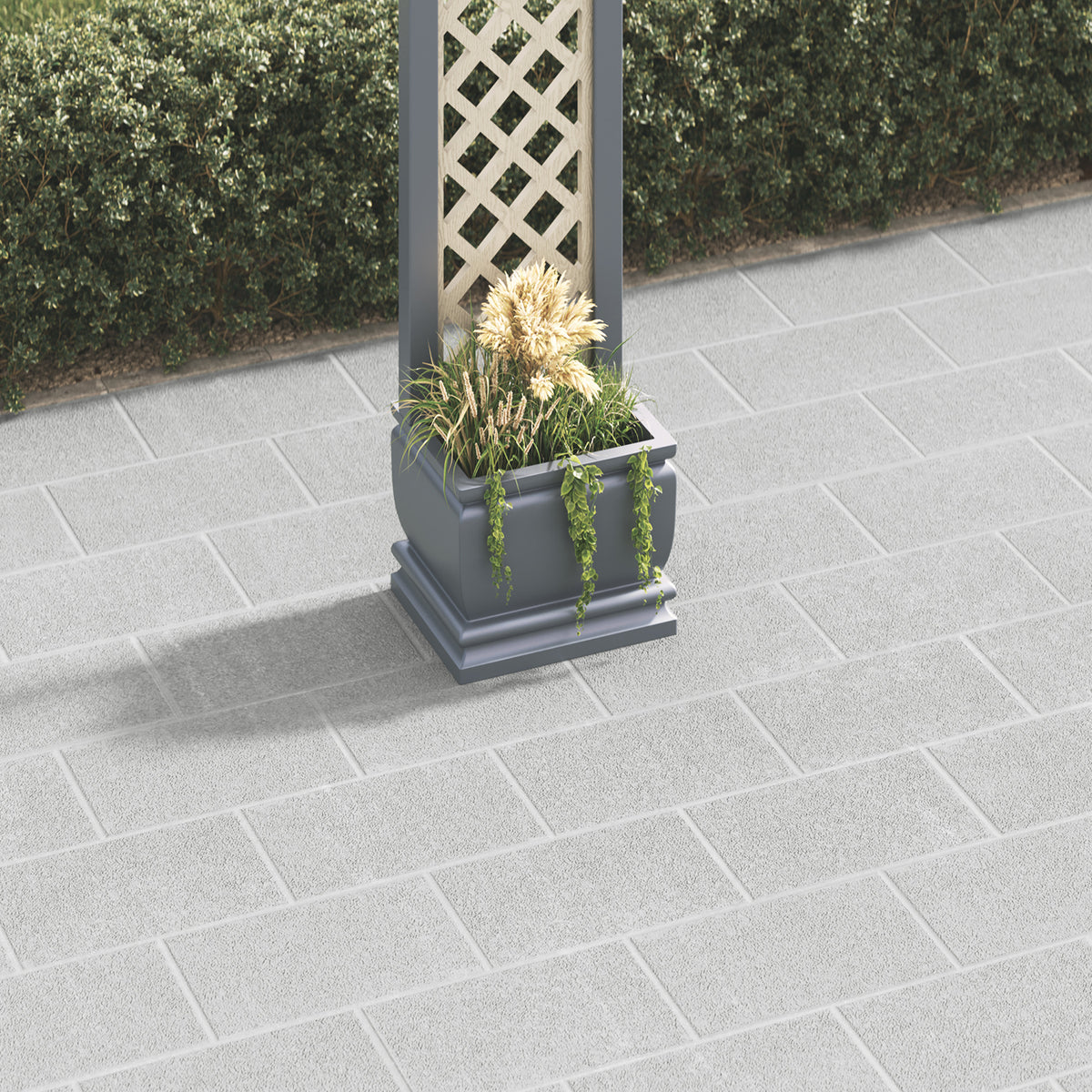 dark-grey-secondary