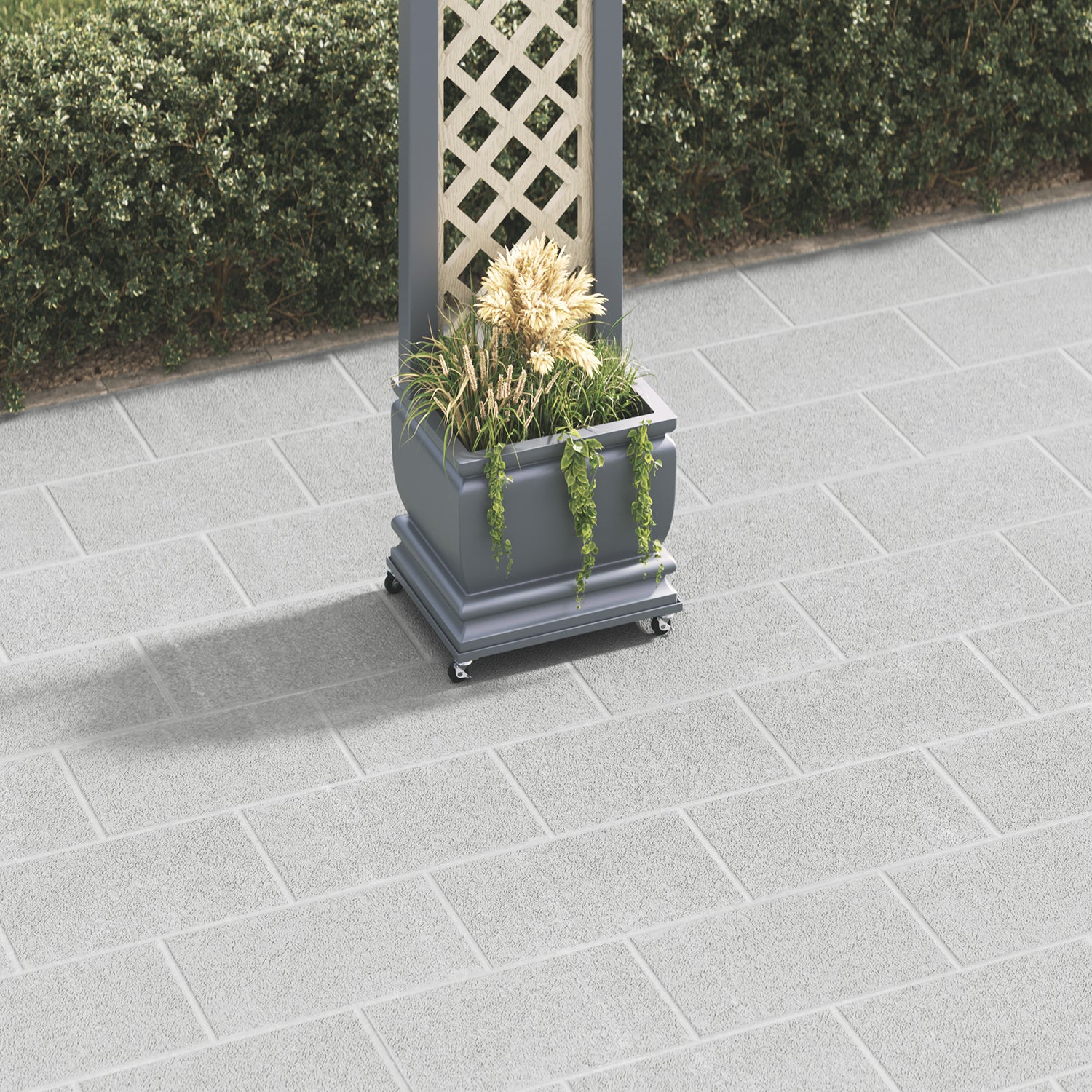 dark-grey-secondary