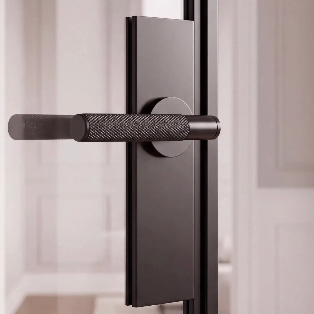 Aurelio Steel Double Internal Crittall Door