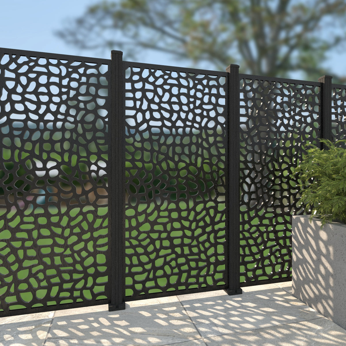 black-no-capping
