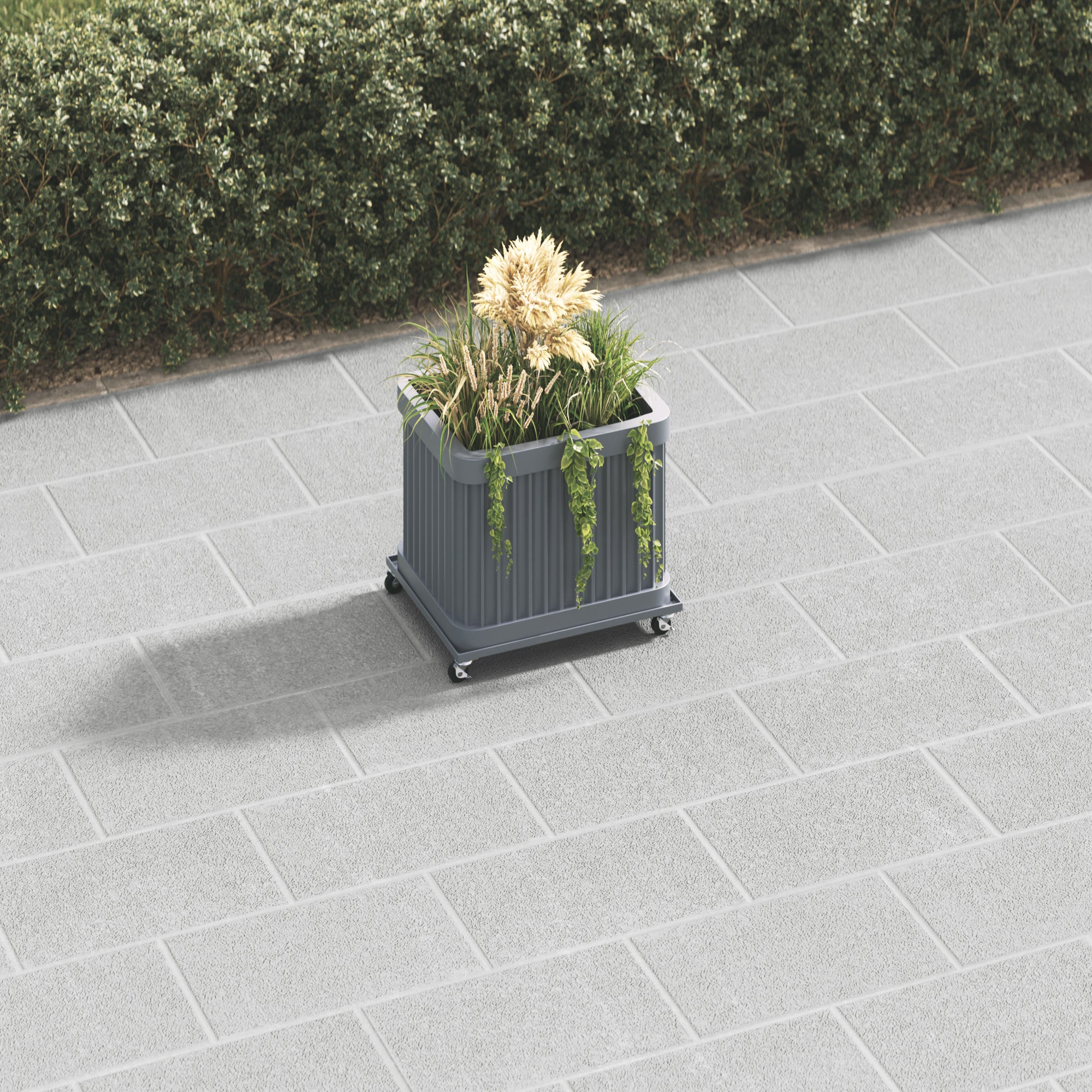 dark-grey-secondary