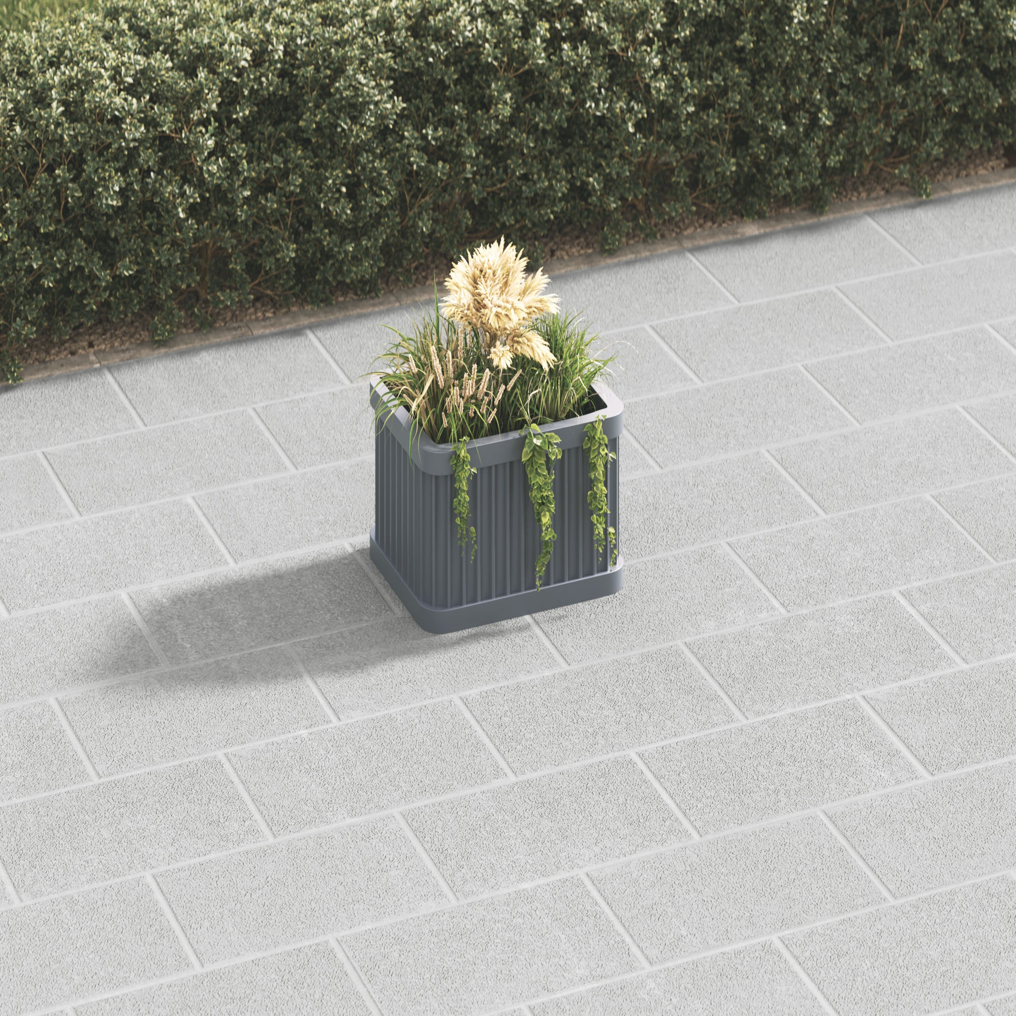 dark-grey-secondary