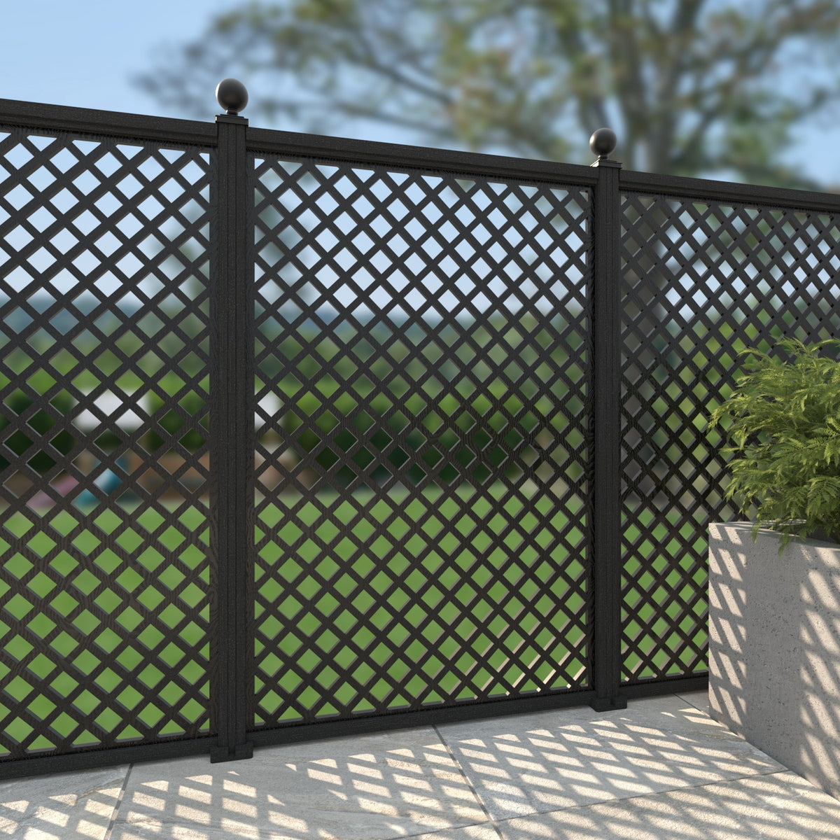 black-regency