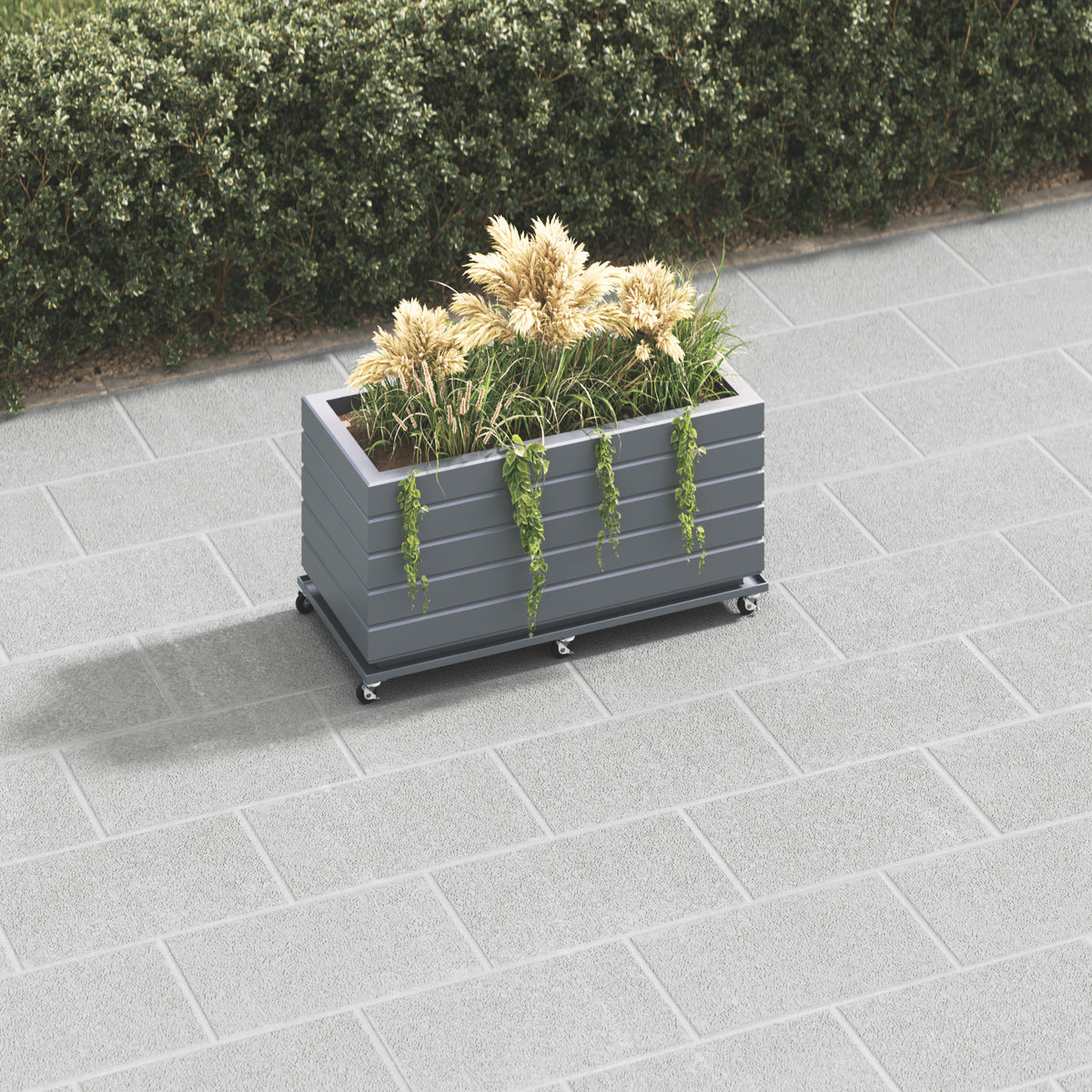 dark-grey-secondary