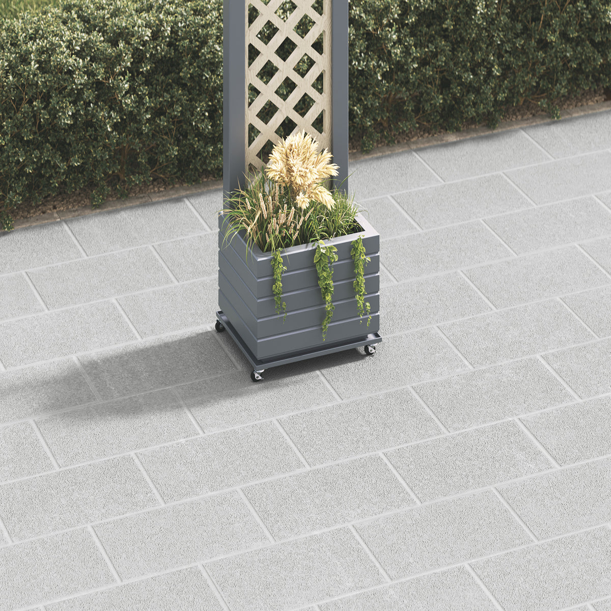 dark-grey-secondary
