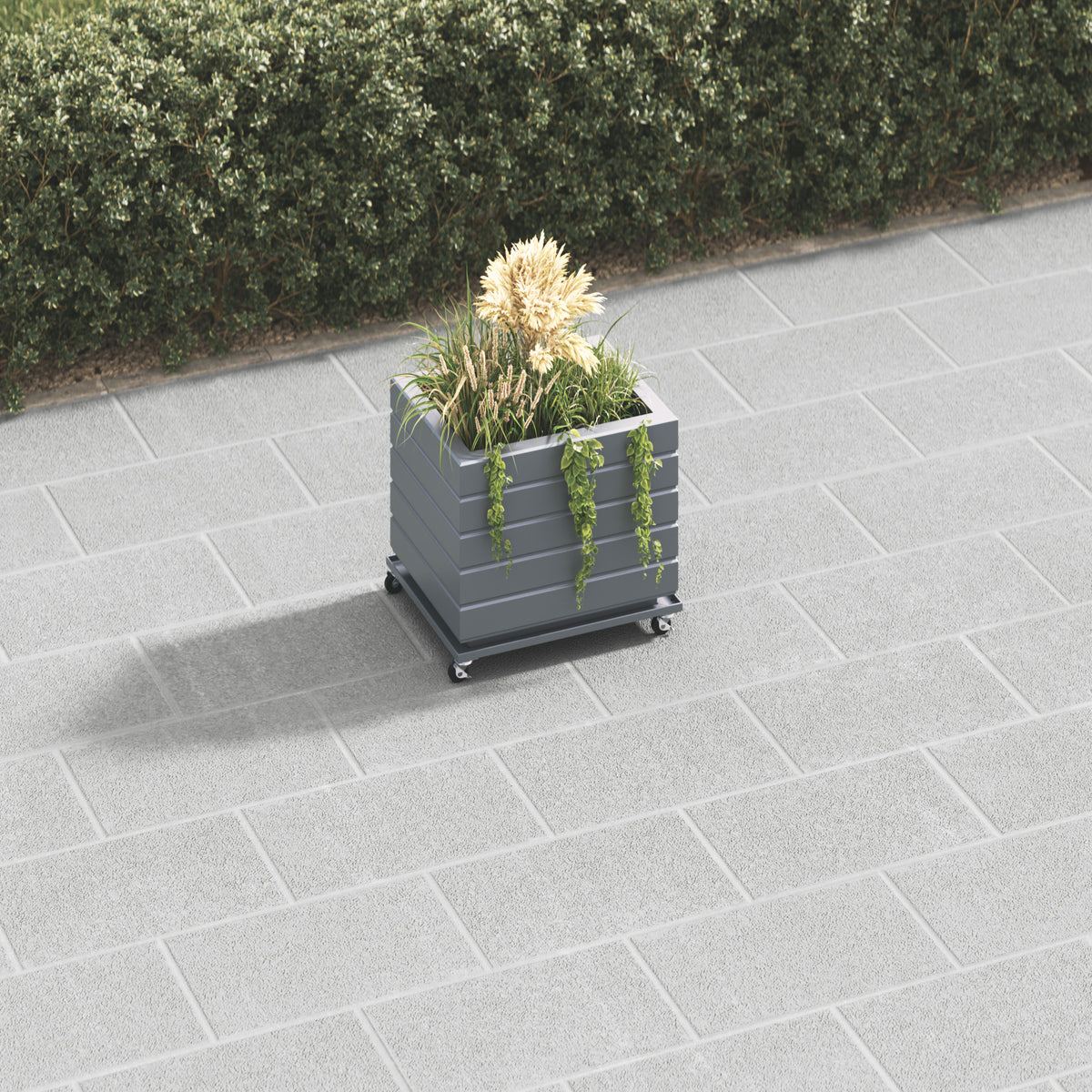 dark-grey-secondary