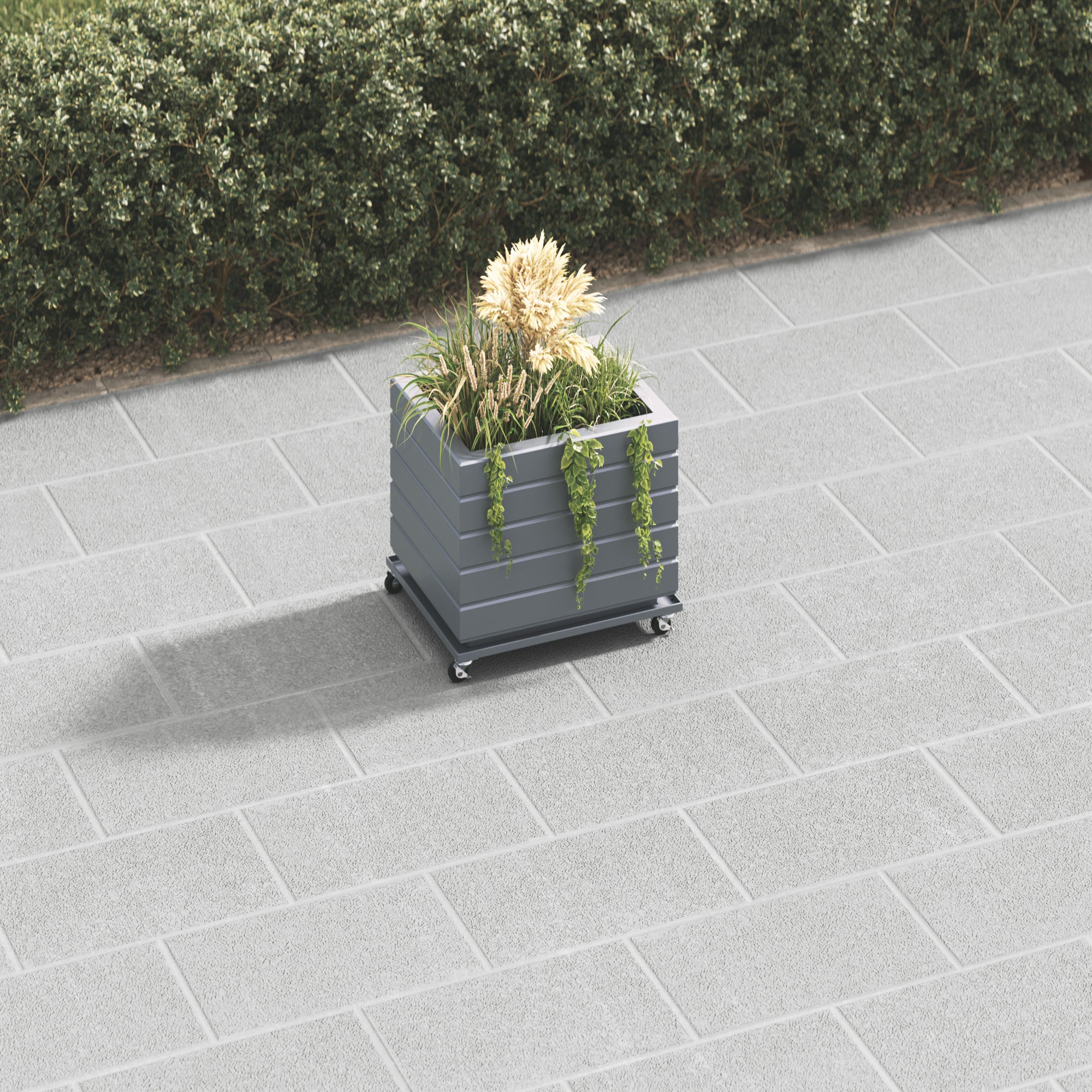 dark-grey-secondary