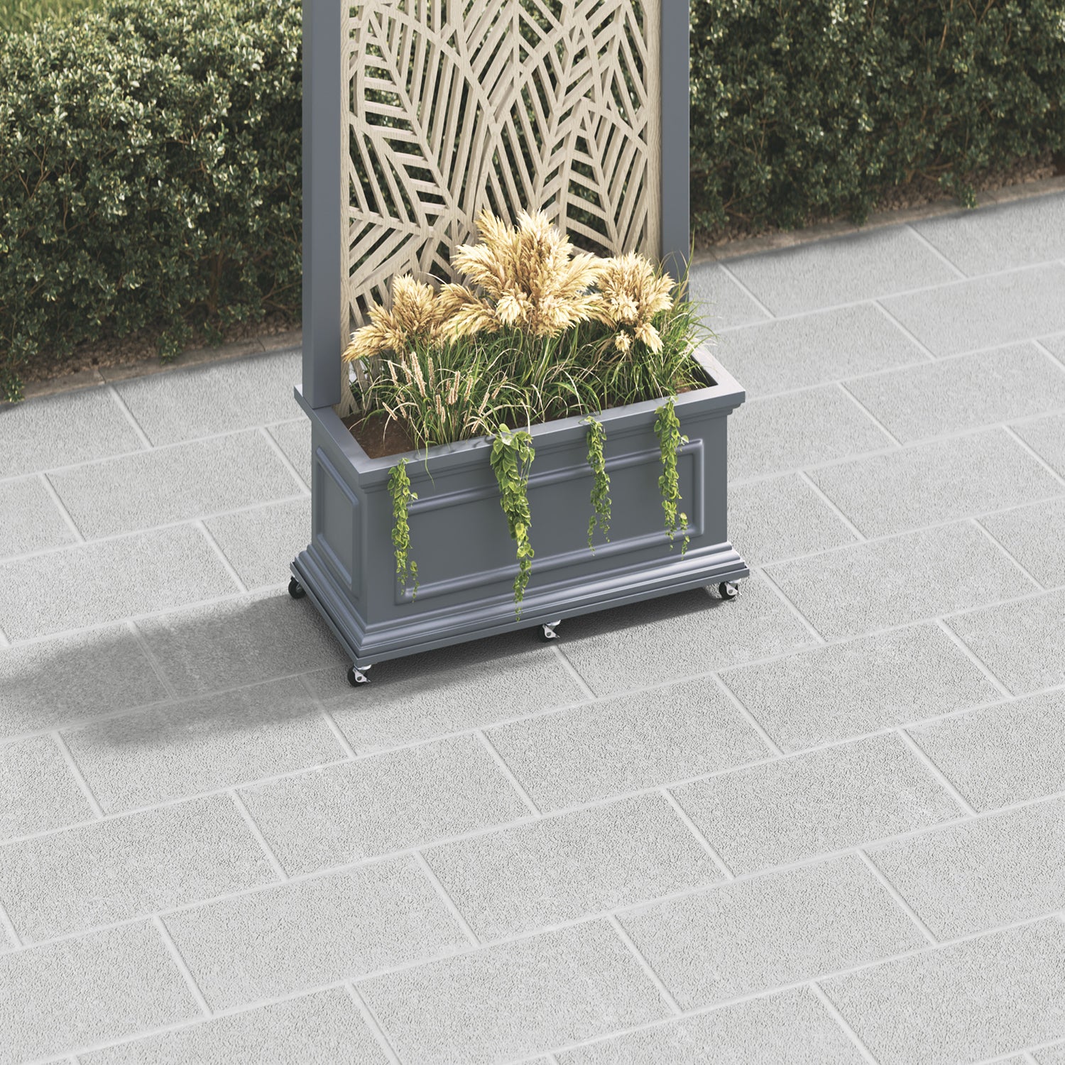 dark-grey-secondary