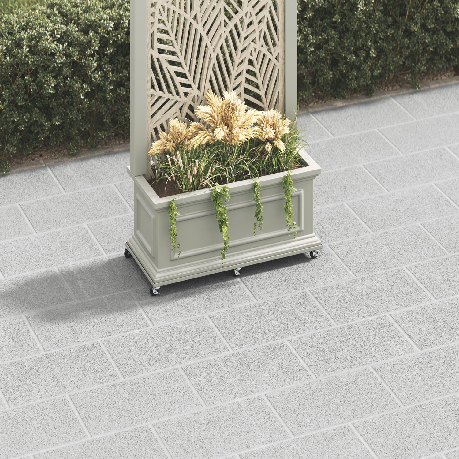 light-grey-secondary