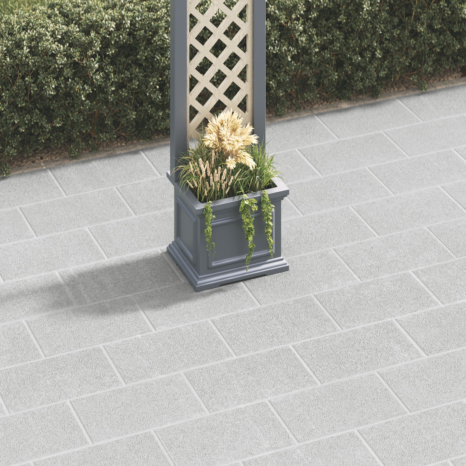 dark-grey-secondary
