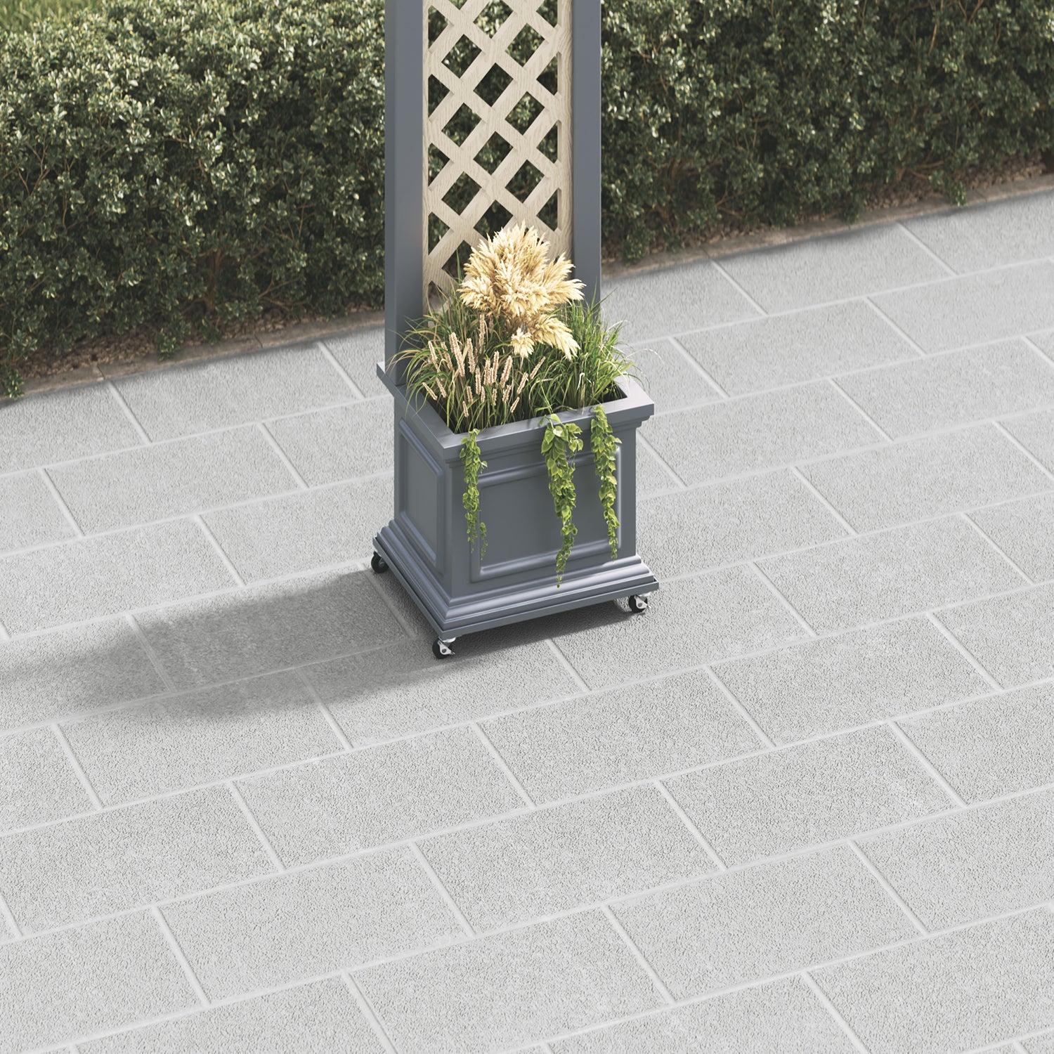 dark-grey-secondary