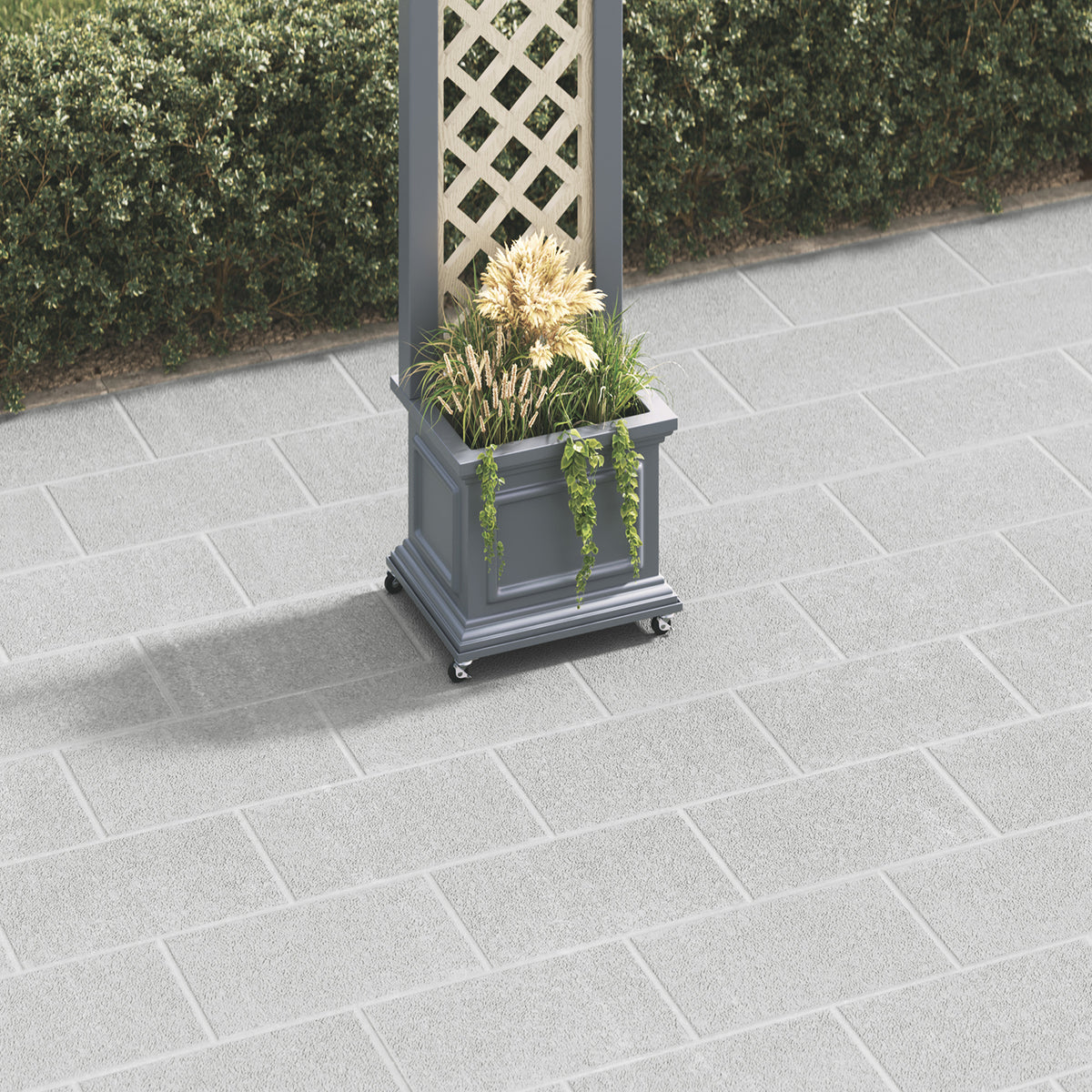 dark-grey-secondary