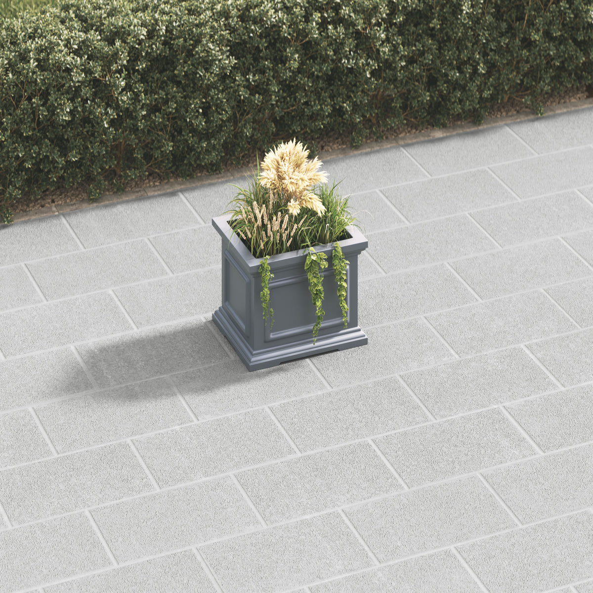 dark-grey-secondary