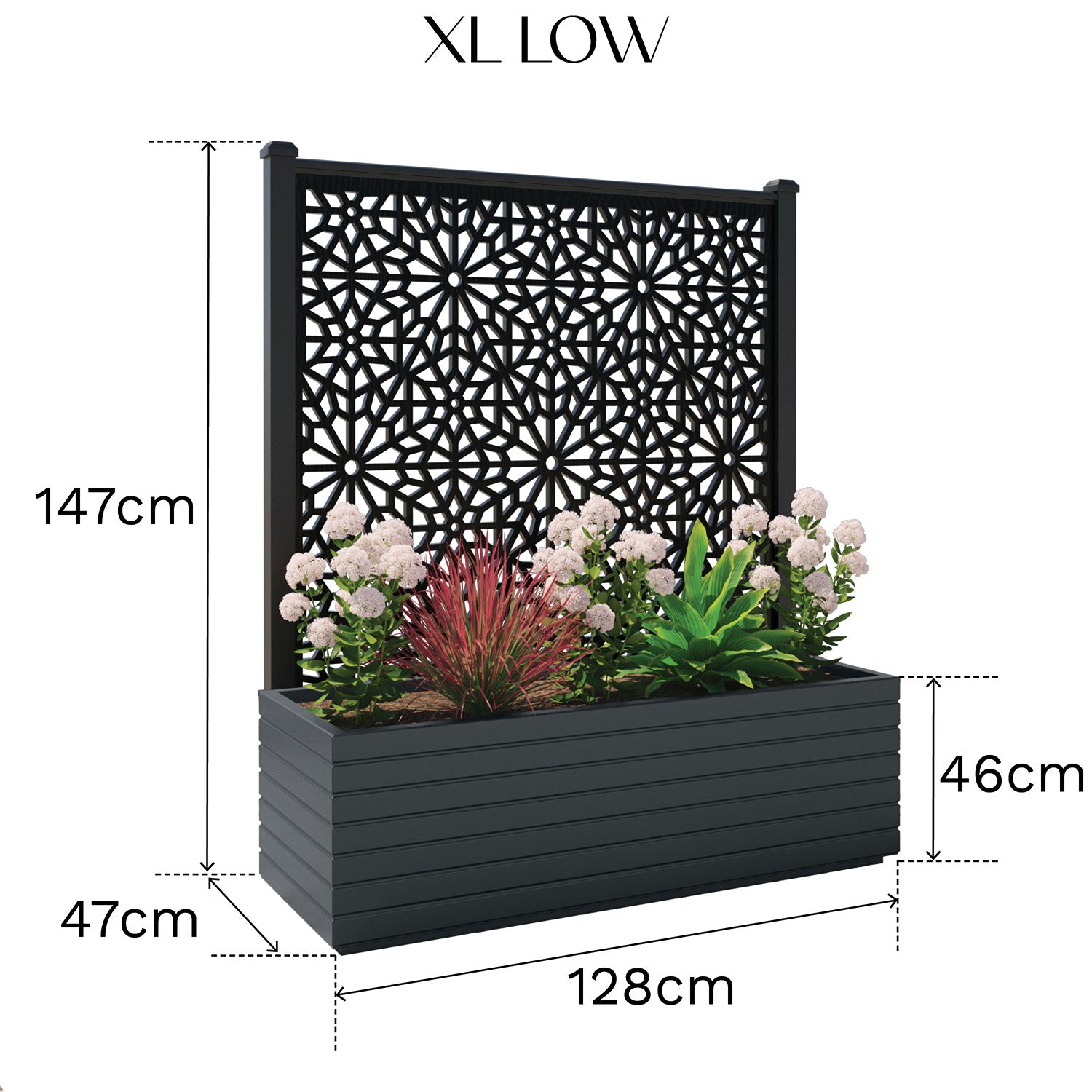 Windsor - Extra Large Low Planter - Aspen Screen