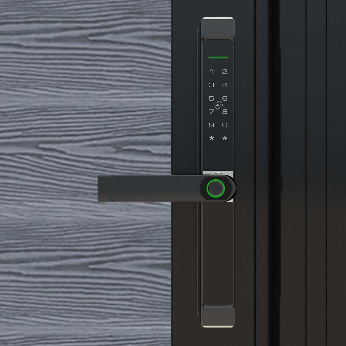 Digital_Handle