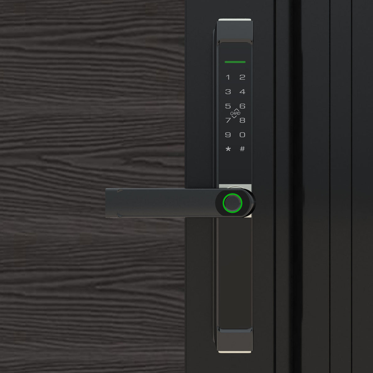 Digital_Handle