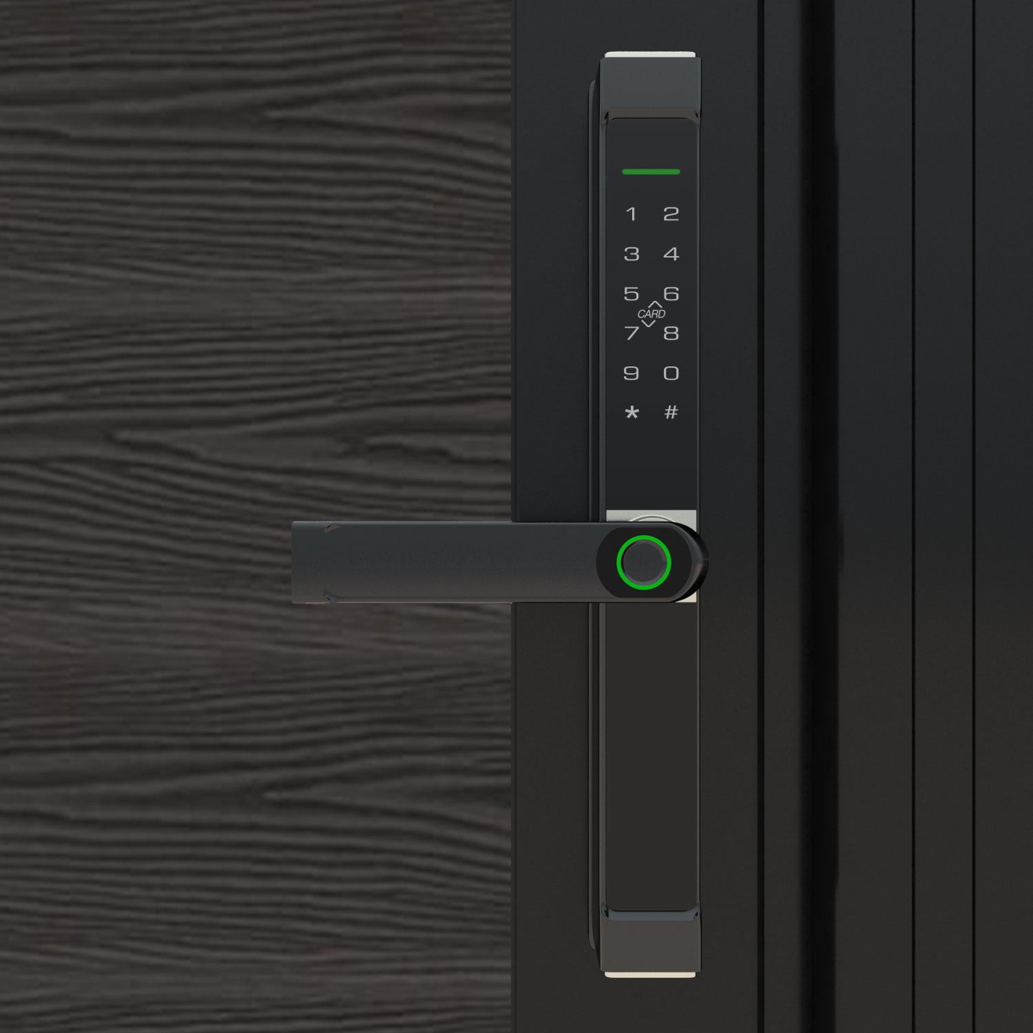Digital_Handle