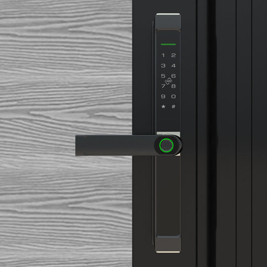 Digital Smart Gate Handle