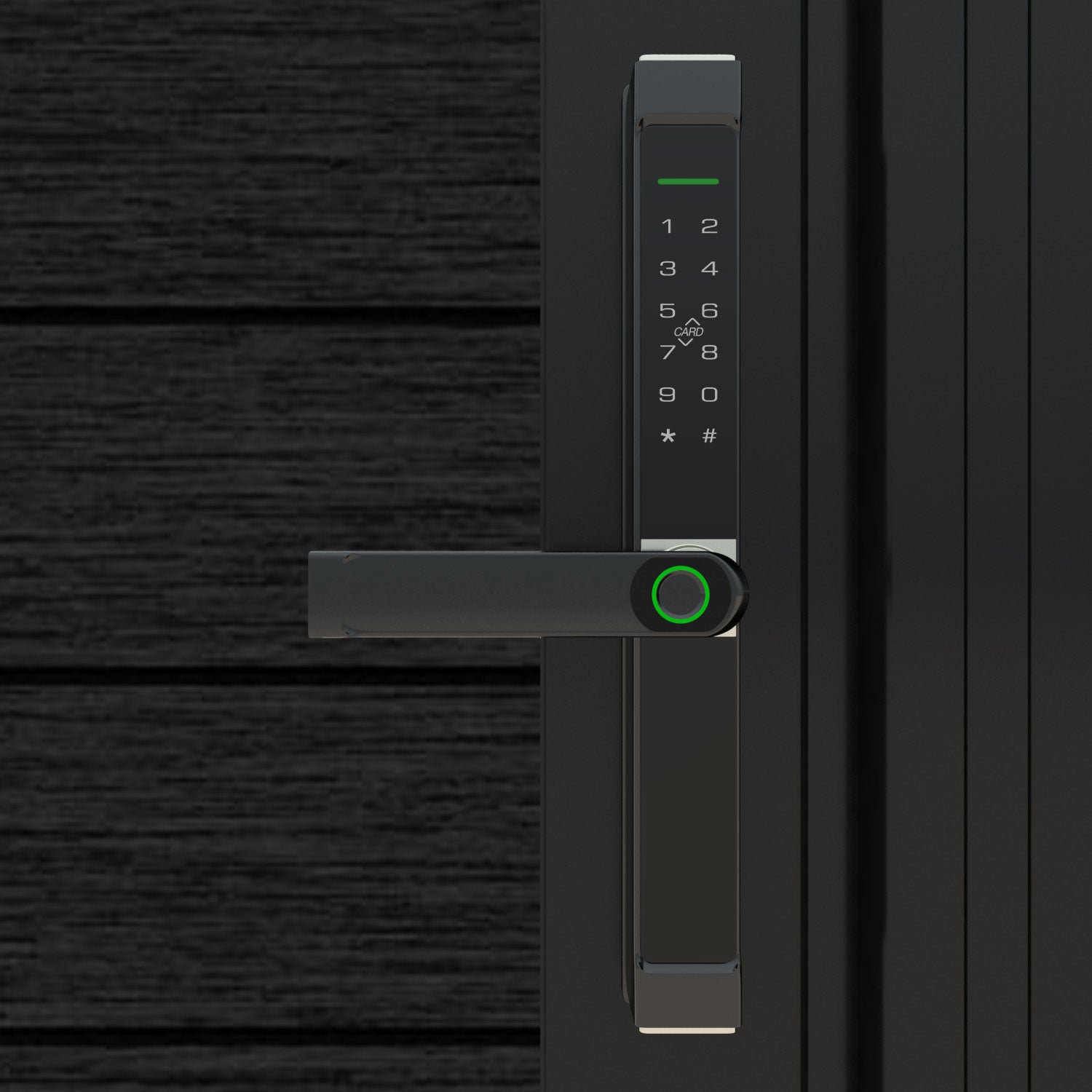 Digital_Handle