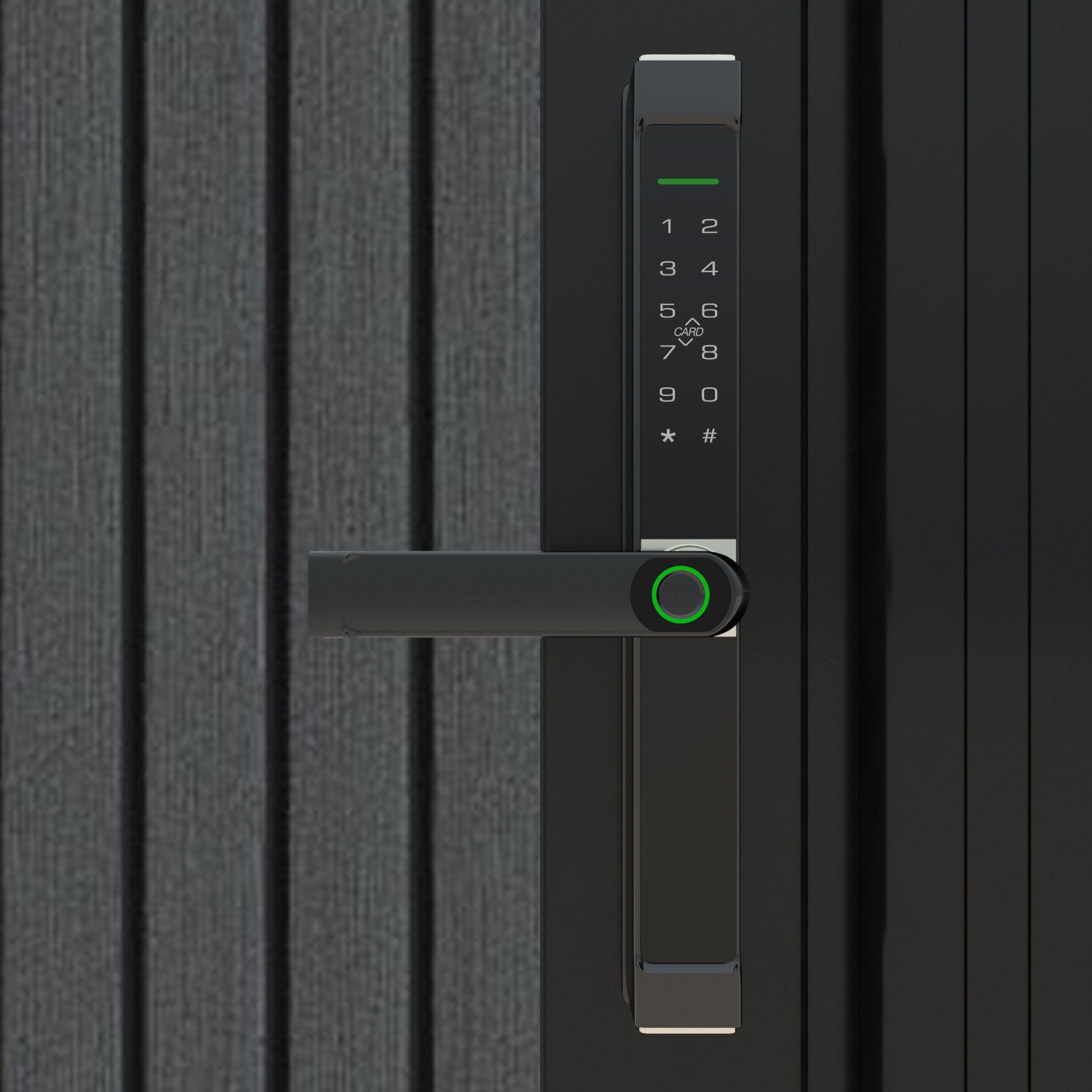 Virtis Alnara Pedestrian Gate - Dark Grey